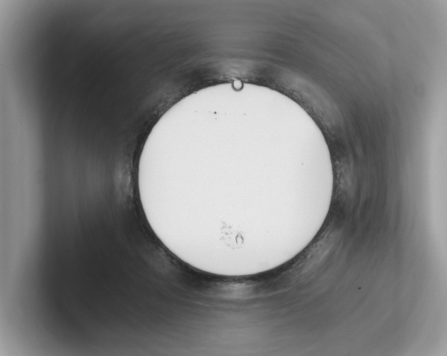 X0000101460313200807281005