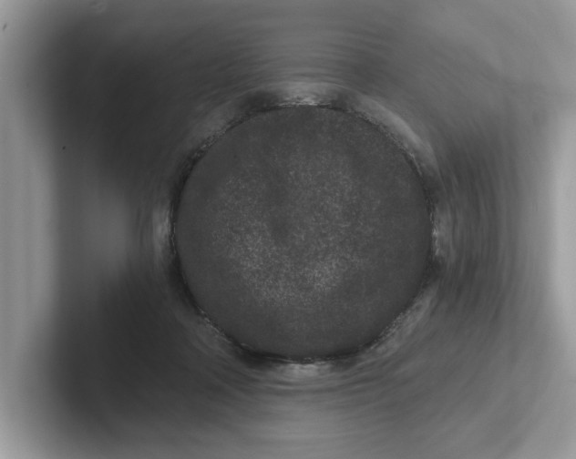 X0000101460314200807281004