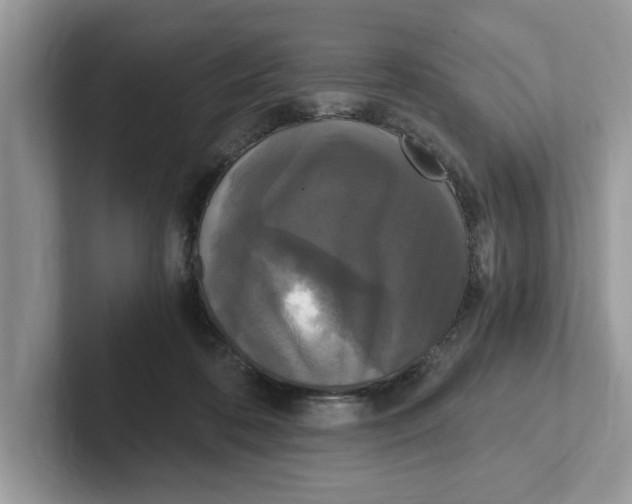 X0000101460316200807281004