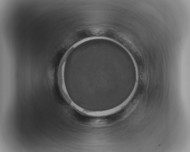 X0000101460319200807281004