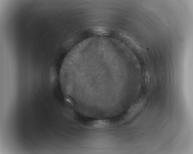 X0000101460320200807281004