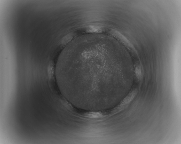 X0000101460322200807281004