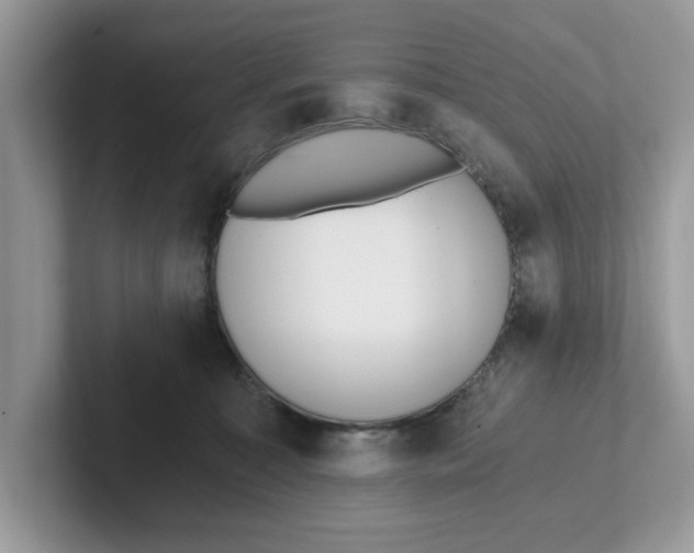 X0000101460323200807281004