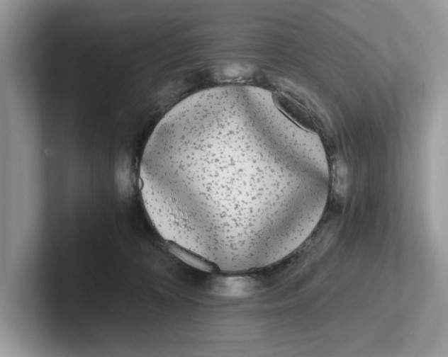 X0000101460324200807281004