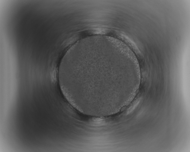 X0000101460325200807281004