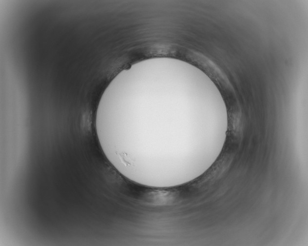 X0000101460326200807281004