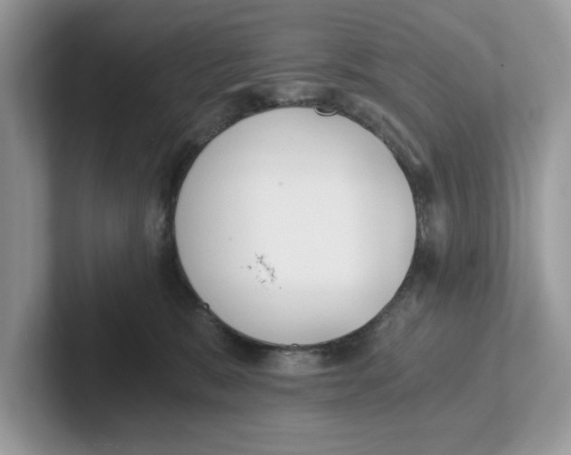 X0000101460327200807281004