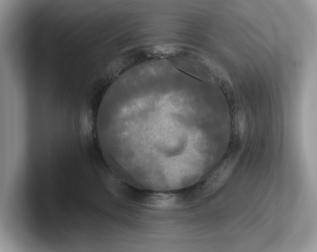 X0000101460328200807281004