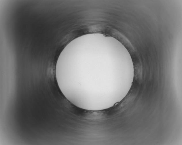 X0000101460329200807281004