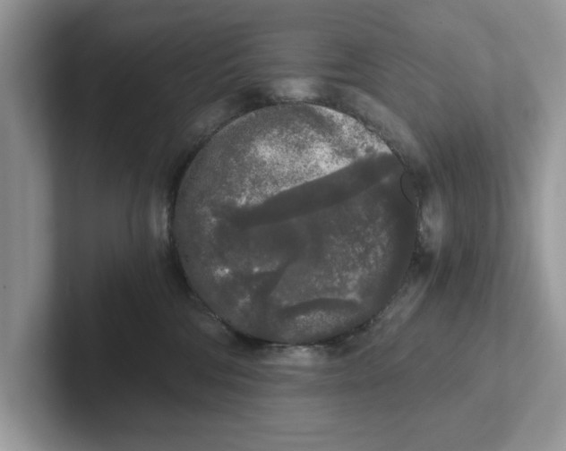 X0000101460330200807281004