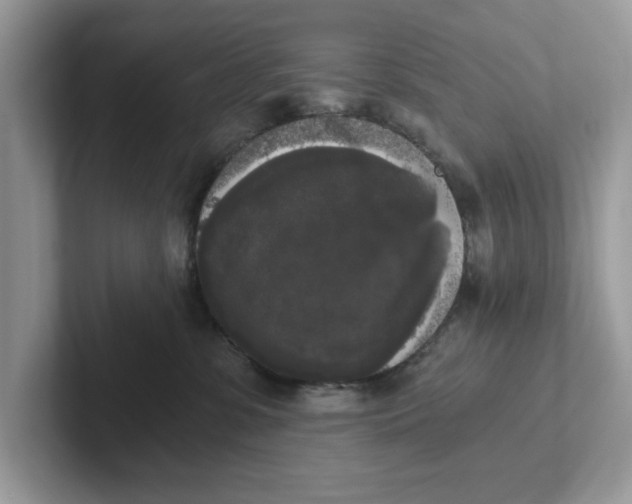 X0000101460331200807281004