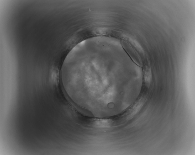 X0000101460332200807281004