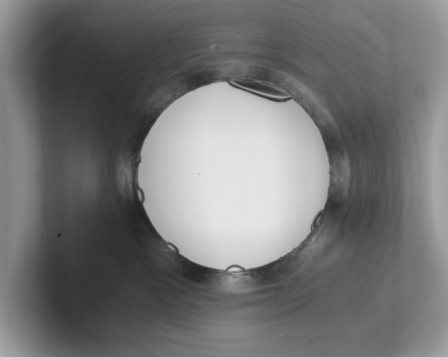 X0000101460333200807281004