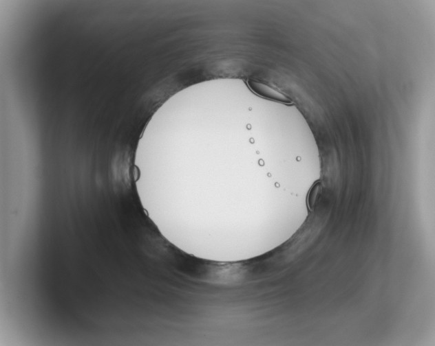 X0000101460334200807281004