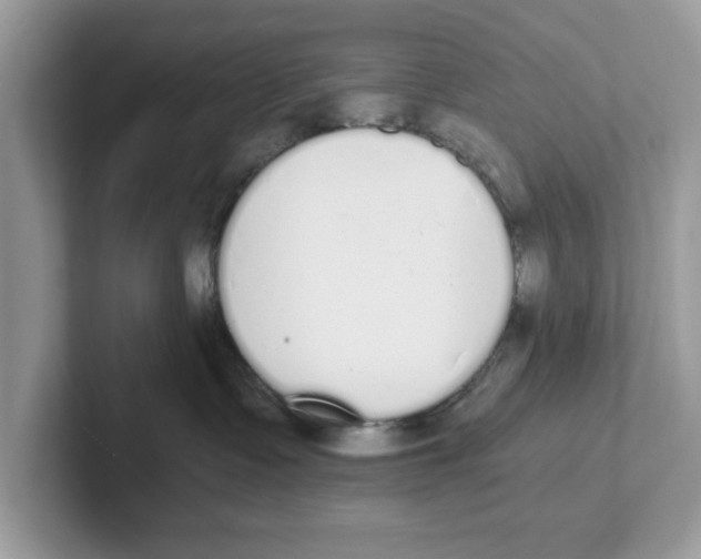 X0000101460335200807281004