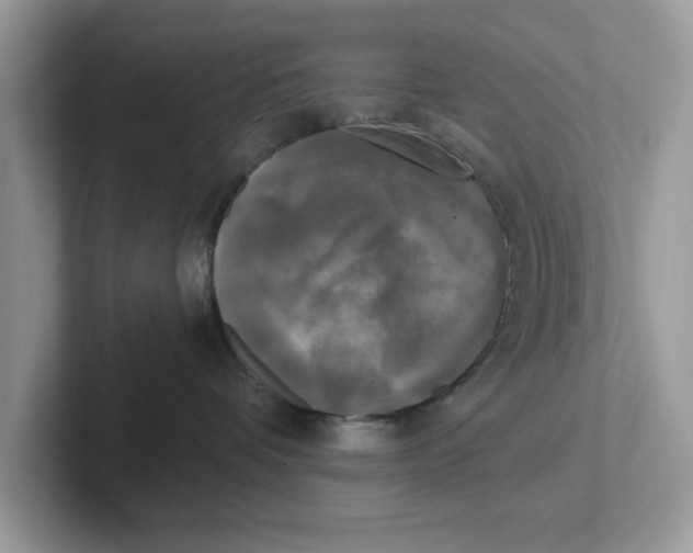 X0000101460336200807281004