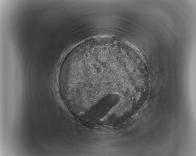 X0000101460337200807281004