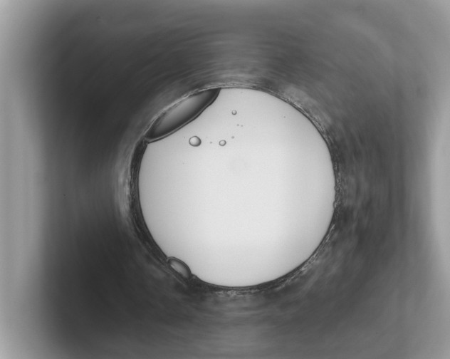 X0000101460338200807281004