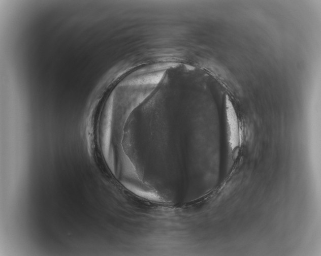 X0000101460339200807281004