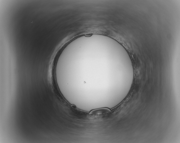 X0000101460340200807281004