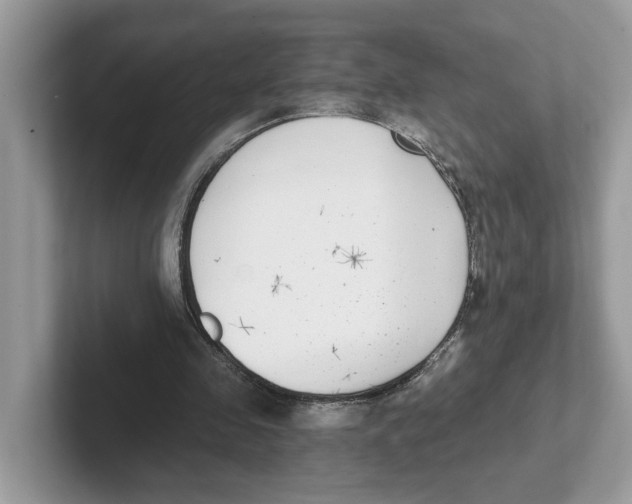 X0000101460341200807281004