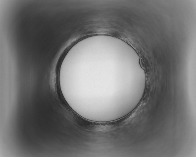 X0000101460342200807281004