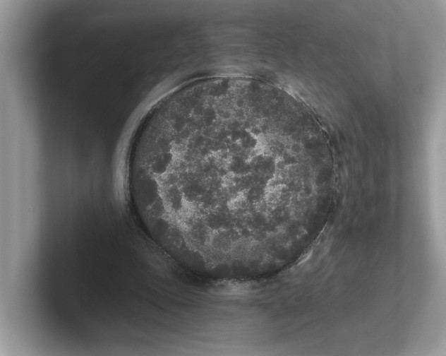 X0000101460343200807281004