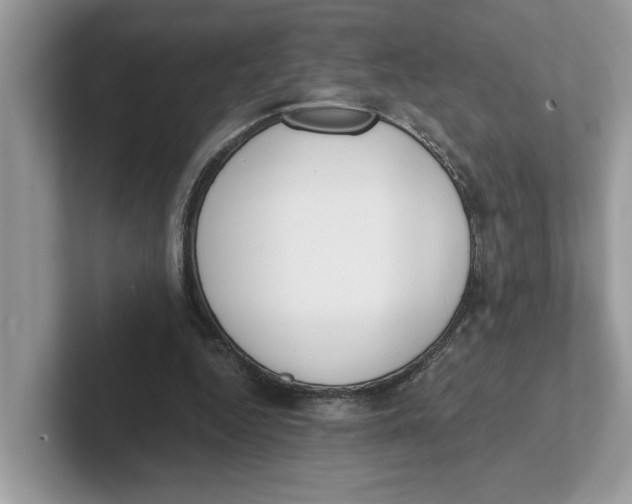 X0000101460344200807281004