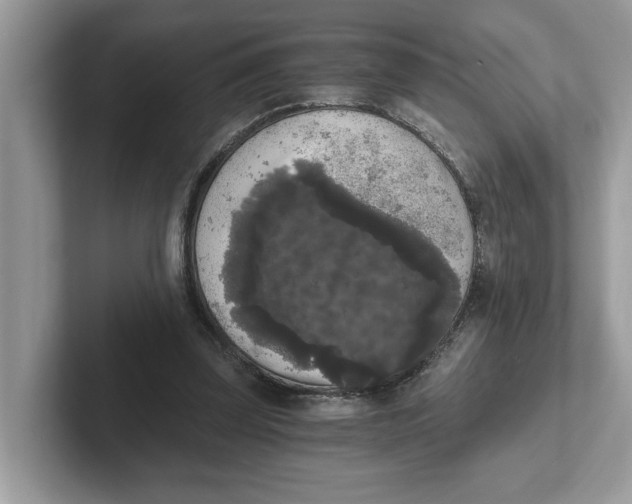 X0000101460347200807281004