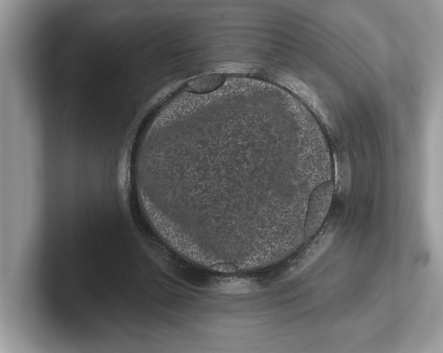 X0000101460348200807281004