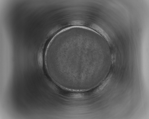 X0000101460349200807281004