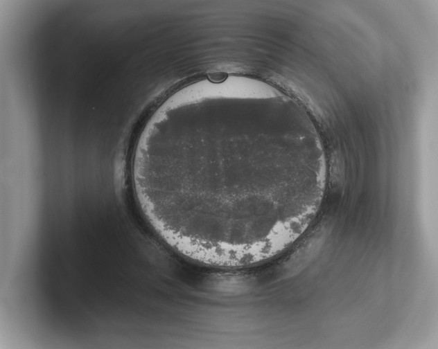 X0000101460351200807281004