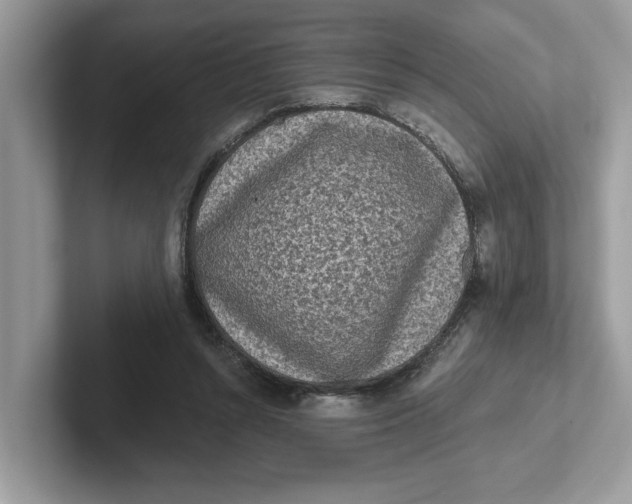 X0000101460352200807281004