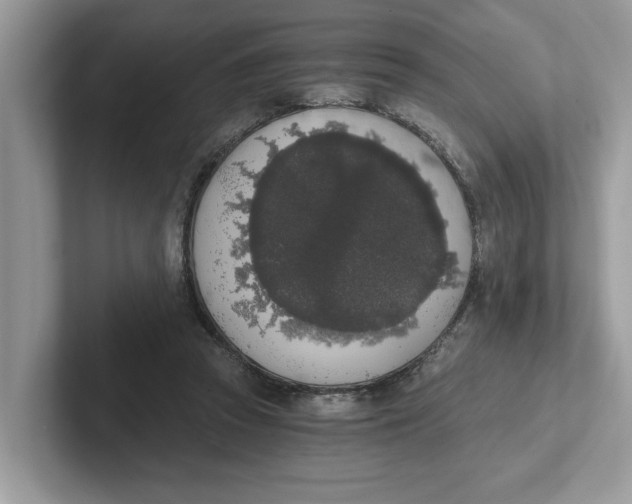 X0000101460353200807281004