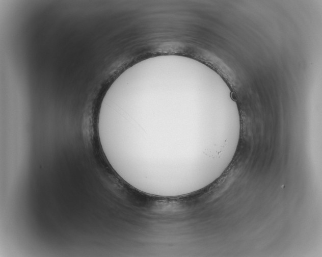 X0000101460354200807281004