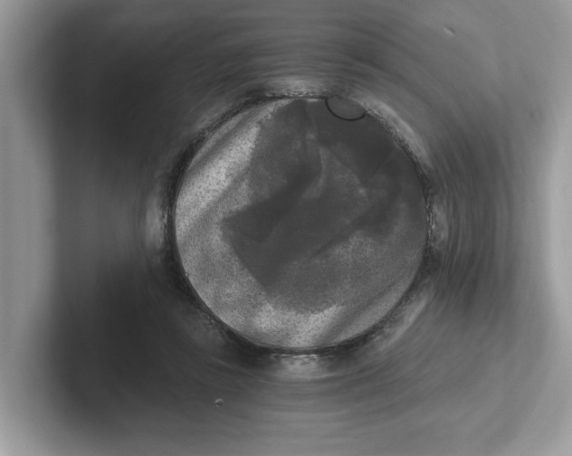 X0000101460355200807281004