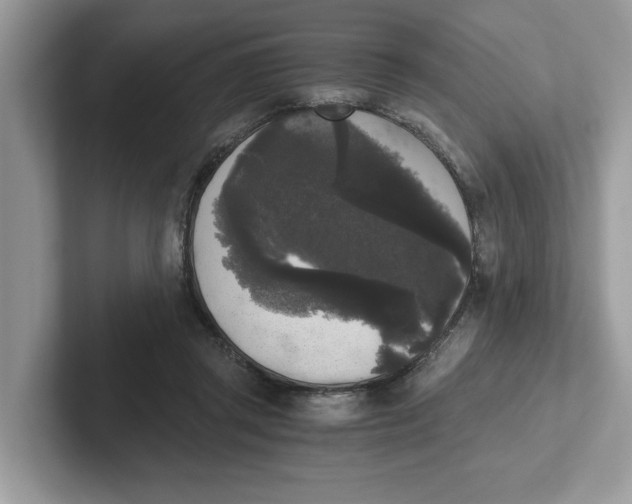 X0000101460357200807281004