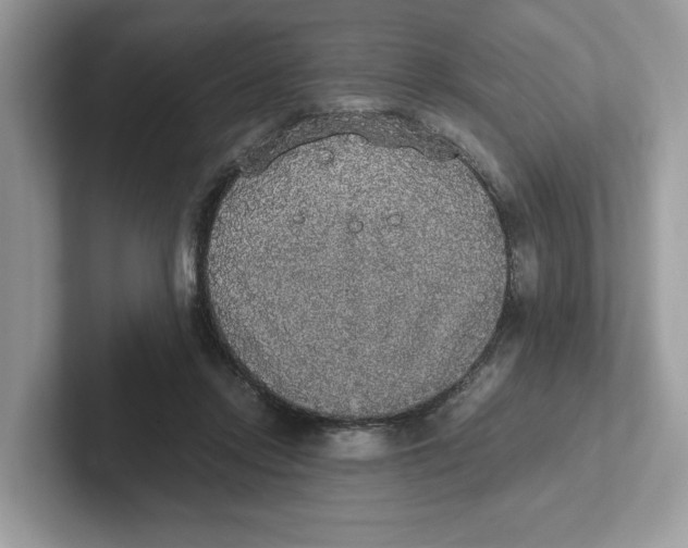 X0000101460358200807281004