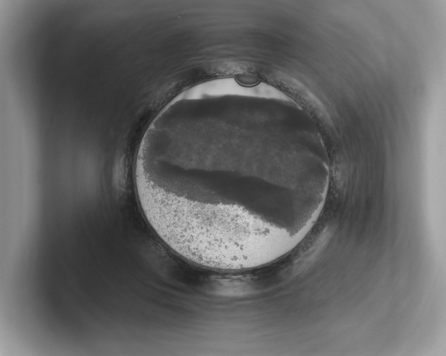 X0000101460359200807281004