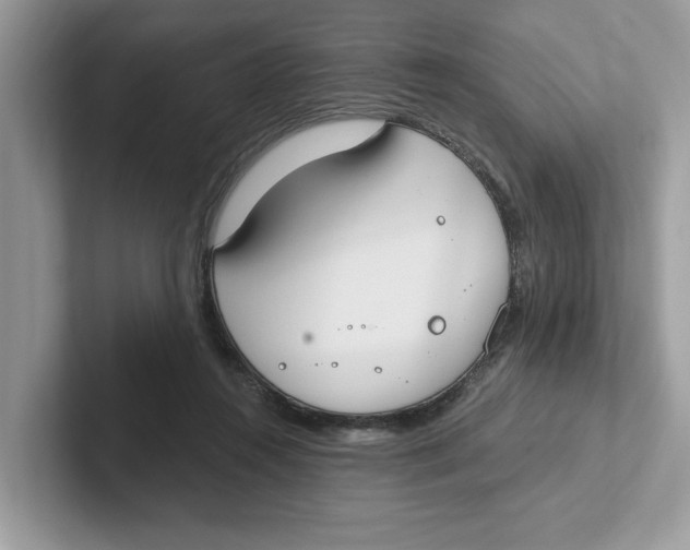 X0000101460360200807281004