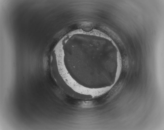 X0000101460361200807281004