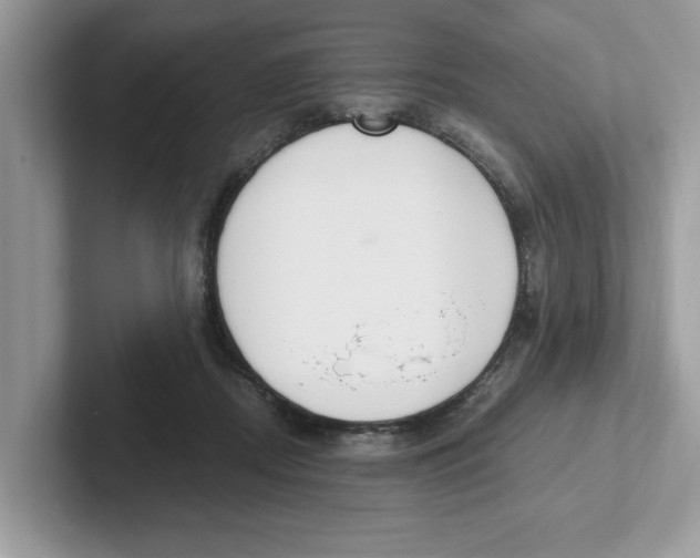 X0000101460362200807281004