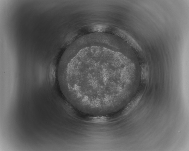 X0000101460363200807281004