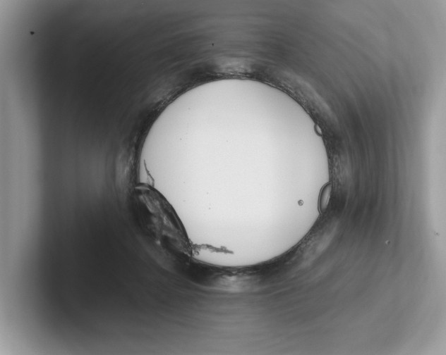 X0000101460364200807281004