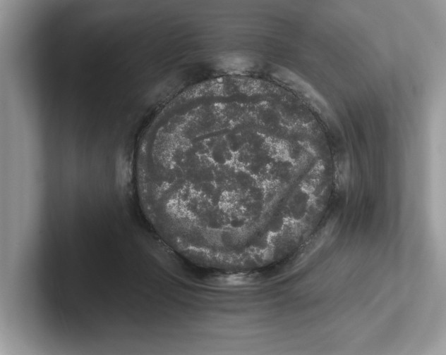 X0000101460365200807281004