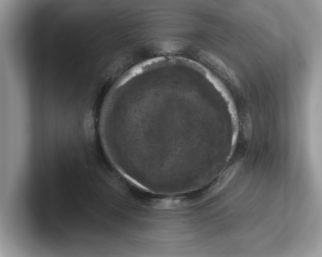 X0000101460366200807281004