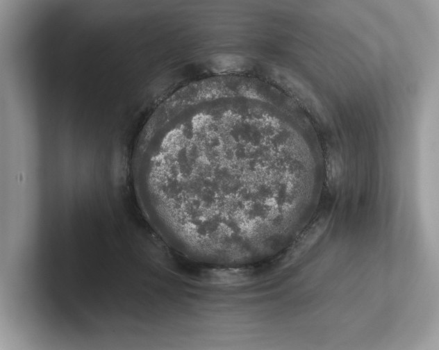 X0000101460367200807281004