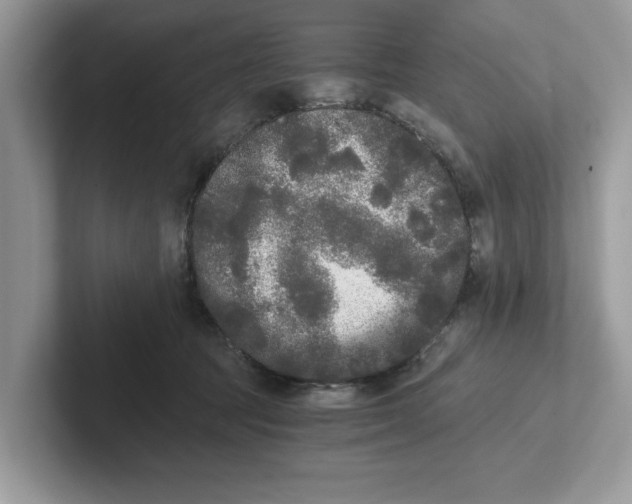 X0000101460369200807281004