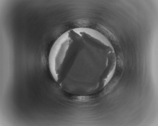 X0000101460371200807281004