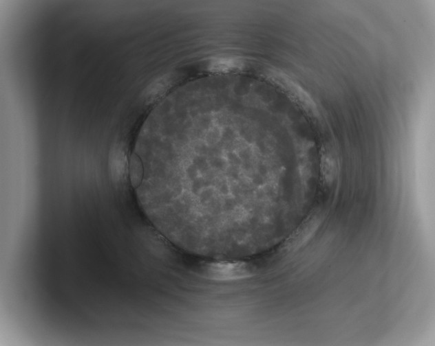 X0000101460375200807281004